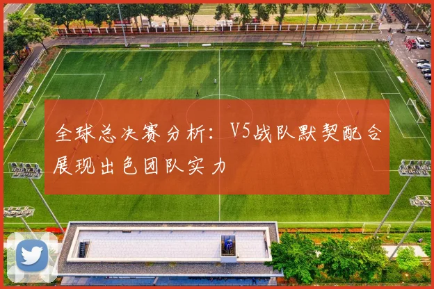 全球总决赛分析：V5战队默契配合展现出色团队实力